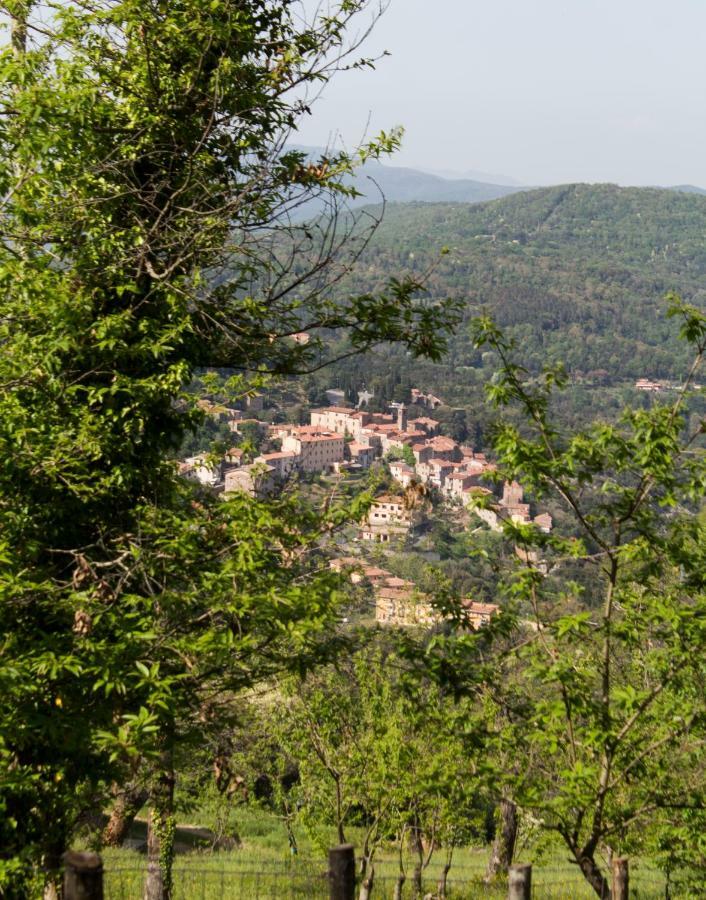 Le Dame Del Borgo Leilighet Sassetta Eksteriør bilde